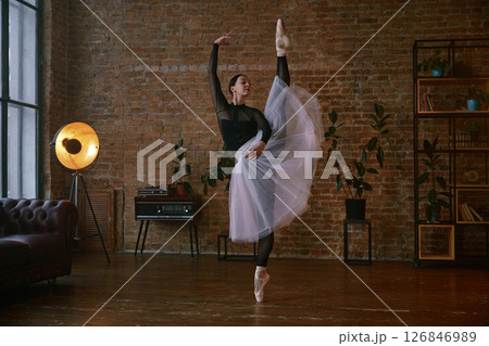 An elegant ballerina is gracefully posing in a beautifully styled loft space An elegant ballerina is gracefully posing in a beautifully styled loft space 126846989