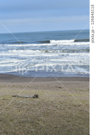 春の恋問海岸 春の恋問海岸 126848118