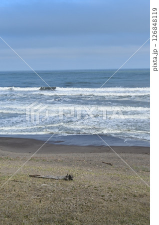 春の恋問海岸 春の恋問海岸 126848119