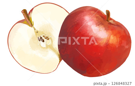 カットされたリアルタッチのりんご　ワンポイント 126848327