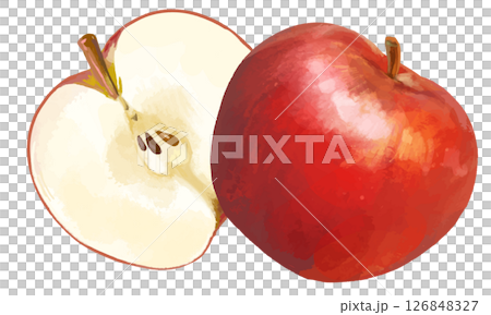 カットされたリアルタッチのりんご　ワンポイント 126848327