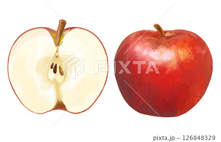 水彩風で描いたリアルタッチな　カットされたりんご 126848329