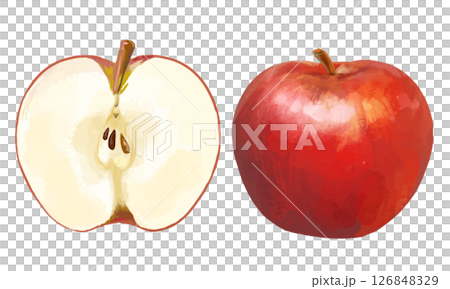 水彩風で描いたリアルタッチな　カットされたりんご 126848329