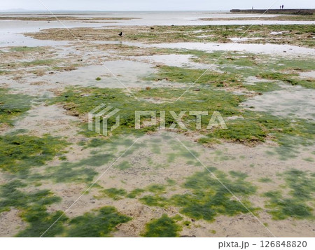 伊古桟橋 126848820