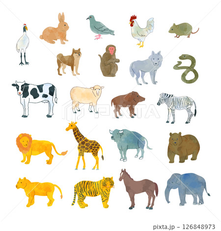 水彩風動物イラストセット 水彩風動物イラストセット 126848973