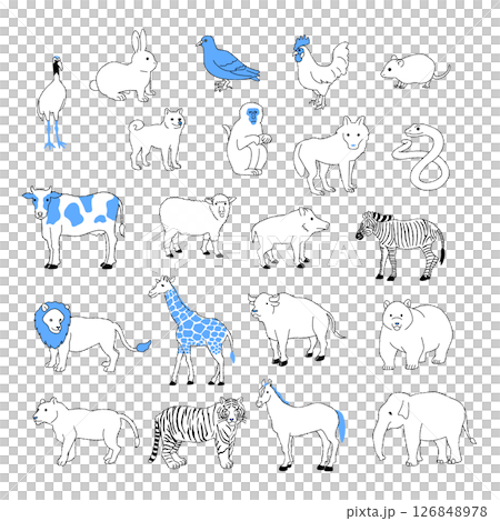 Animal illustration set Animal illustration set 126848978