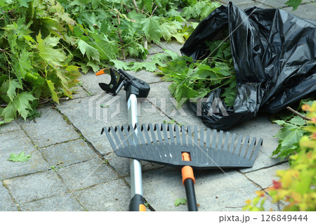 Branch cutter and garden rake on tile driveway in backyard. Gardening, tools and lifestyle. Landscaping. 126849444