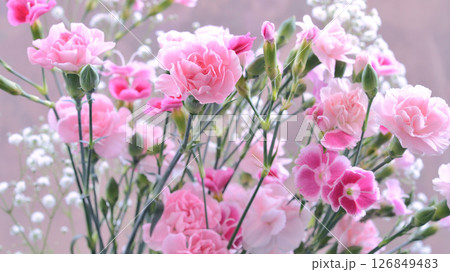 ピンクのかわいい花 ピンクのかわいい花 126849483