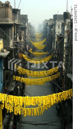 Vibrant Yellow Flower Garland Decorates Narrow City Street Alleyway Old Asia View Urban India Color 126849752