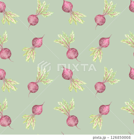 Purple beetroot and soft green leaves on a sage-colored background. Garden vegetables watercolor illustration. Seamless pattern clipart. Great for gardening prints, tablecloths, and wrapping paper 126850008