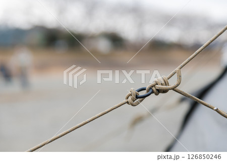 【中津川河川敷でオートキャンプ　テントのガイロープ】 126850246