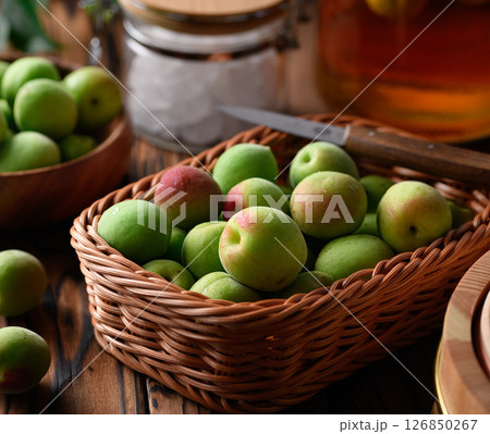 青梅 （ 紀州南高梅 ）梅酒づくり 126850267