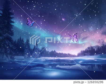 オーロラの舞う満天の星空と蝶　雪景色　夜空 126850296