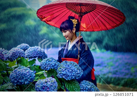 アジサイと梅雨入り 126851071