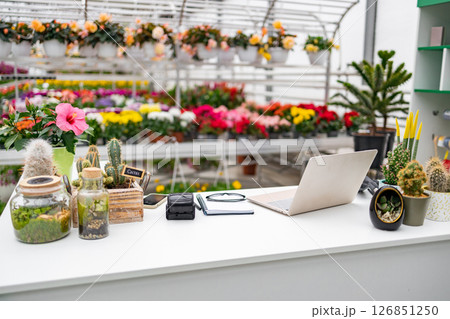 A modern florist shop interior showcases a variety of flowers and plants, with a laptop set on the counter. The business is well-organized and inviting. A modern florist shop interior showcases a variety of flowers and plants, with a laptop set on the counter. The business is well-organized and inviting. 126851250