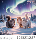 オーロラと猫たち 126851287