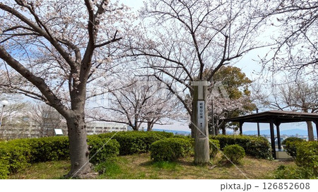 大阪大正区 千島公園の昭和山山頂 大阪大正区 千島公園の昭和山山頂 126852608