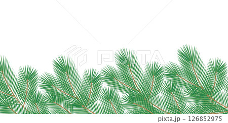 Hand Drawn Pine Twigs Bottom Frame border Transparent Background Copy space Template Winter Holiday 126852975