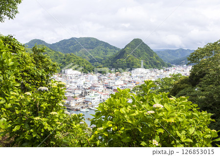 下田公園の紫陽花 126853015