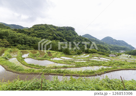 石部の棚田の梅雨 126853306