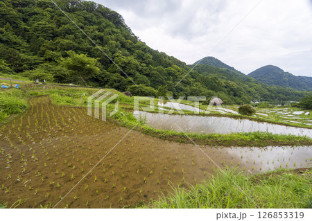 石部の棚田の梅雨 石部の棚田の梅雨 126853319