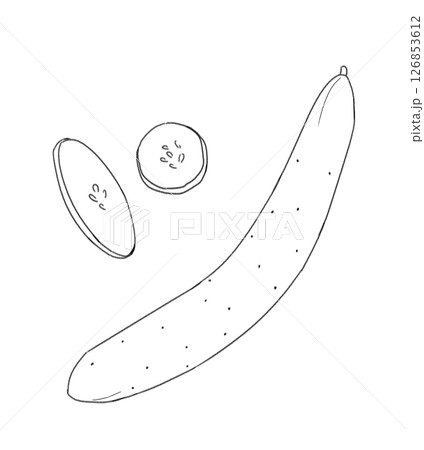 きゅうりの線画 126853612