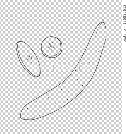 きゅうりの線画 126853612