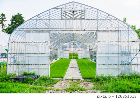 田植え前のビニールハウス 田植え前のビニールハウス 126853615