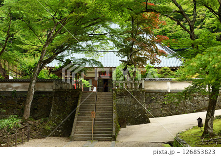 新緑の香嵐渓香積寺 126853823