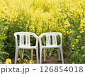 菜の花畑に並ぶペアのイス 126854018