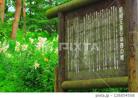 昭和天皇御臨席で行われた植樹祭の立て看板 126854508