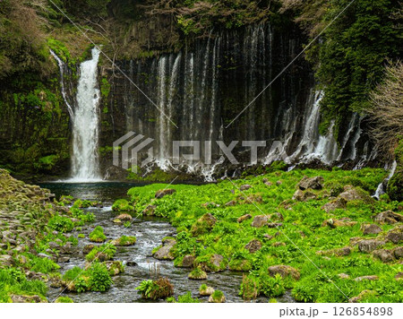 白糸の滝は清らかで美しい水 126854898