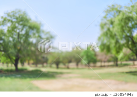 抽象的な公園の背景素材 ピンボケ 抽象的な公園の背景素材 ピンボケ 126854948