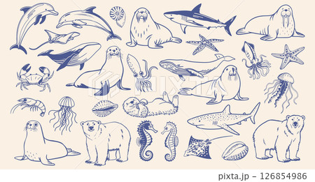 Set of hand drawn sea animals and underwater animals. Sketch outline illustration. 126854986