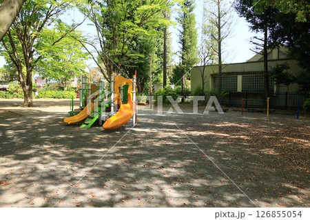 緑豊かな公園の遊具 126855054