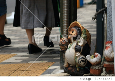 路地の角から街を見上げる信楽焼のたぬき　信楽焼の狸の置物 126855221