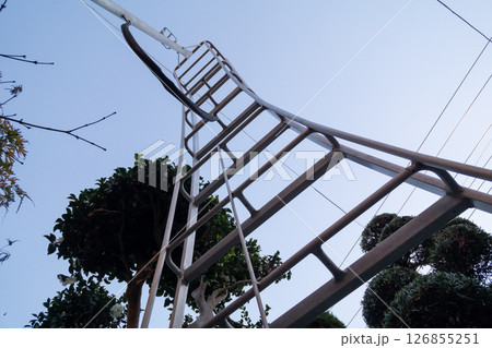 園芸三脚 126855251