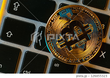 Bitcoin and cryptocurrency investing concept . Bitcoin cryptocurrency gold coin Bitcoin and cryptocurrency investing concept . Bitcoin cryptocurrency gold coin 126855323