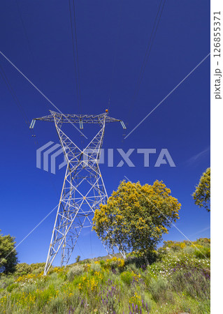 Electric Tower Electric Tower 126855371