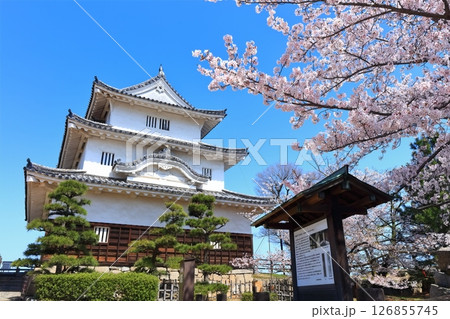 【香川県】桜咲く春の丸亀城（現存天守と石垣の名城） 126855745