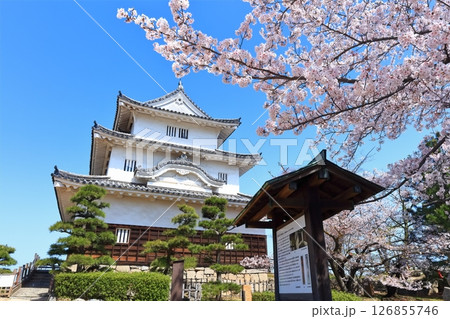 【香川県】桜咲く春の丸亀城（現存天守と石垣の名城） 126855746