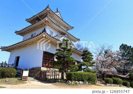 【香川県】桜咲く春の丸亀城（現存天守と石垣の名城） 126855747