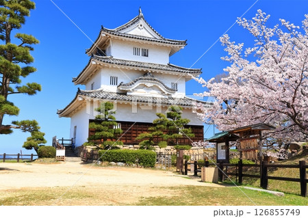 【香川県】桜咲く春の丸亀城（現存天守と石垣の名城） 126855749