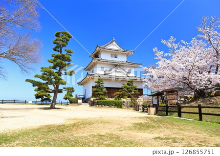 【香川県】桜咲く春の丸亀城(現存天守と石垣の名城) 【香川県】桜咲く春の丸亀城(現存天守と石垣の名城) 126855751