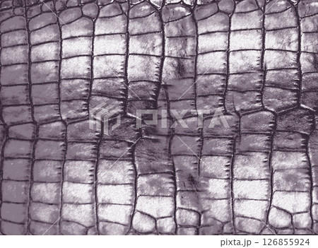 Crocodile leather texture in elegant purple tones, showcasing its luxurious and exotic nature 126855924