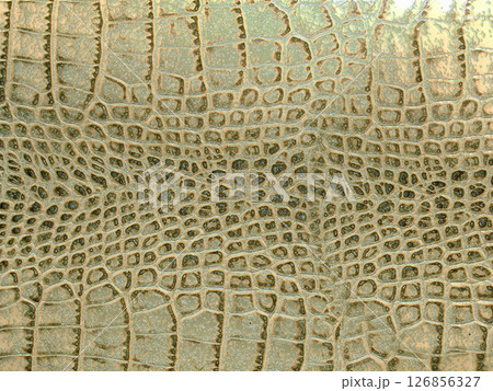 Close-up view of artificial alligator or crocodile skin texture, showing scales and pattern Close-up view of artificial alligator or crocodile skin texture, showing scales and pattern 126856327