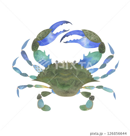 Blue crab watercolor illustration. Sea creature with interesting blue and green color transitions, detailed with pencil and gel pen textures. Isolated on white background 126856644