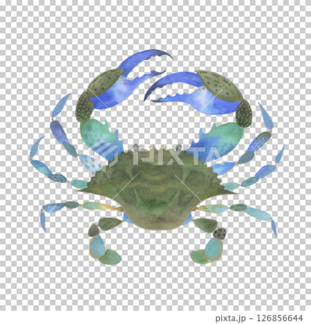 Blue crab watercolor illustration. Sea creature with interesting blue and green color transitions, detailed with pencil and gel pen textures. Isolated on white background 126856644