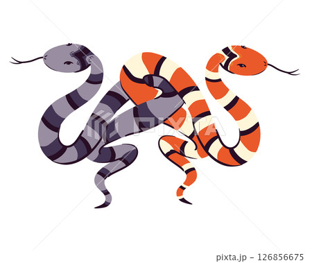Two snakes intertwined by tails. Vector illustration. Witch magic sign, totem animal, symbol of wisdom and knowledge. Ancient symbol of occultism, magic, infinity, mysticism. 126856675