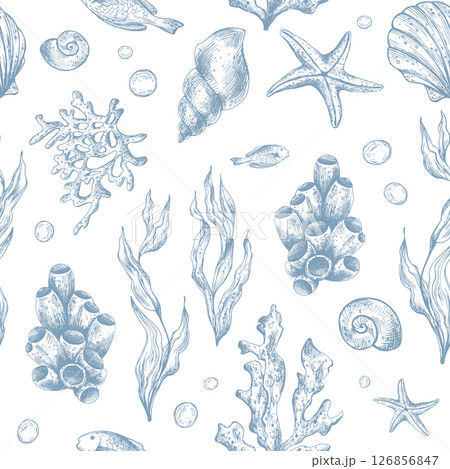 Marine underwater clip art with shells, sea sponges, corals, starfish, pebbles, seaweed, fish, bubbles. Graphic illustration hand drawn in blue ink. Seamless pattern EPS vector Marine underwater clip art with shells, sea sponges, corals, starfish, pebbles, seaweed, fish, bubbles. Graphic illustration hand drawn in blue ink. Seamless pattern EPS vector 126856847